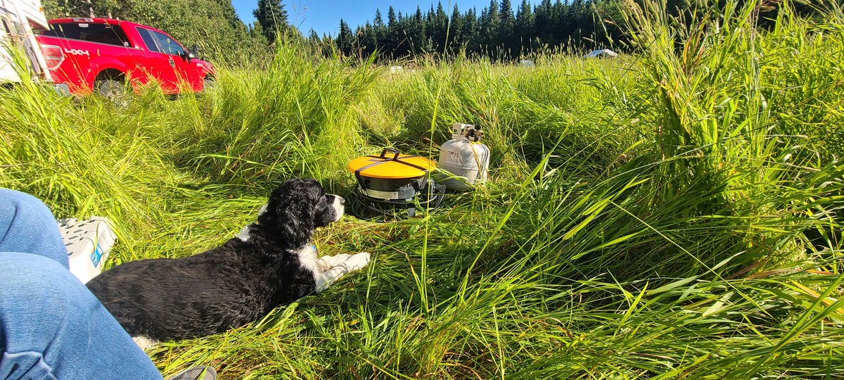 Dan Overes tweet media