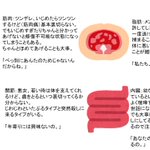 筋肉、関節、脂肪、内蔵についてを紹介した投稿が面白い!