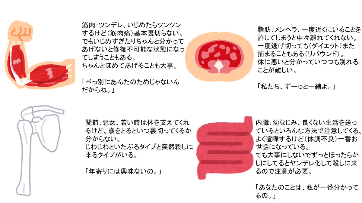 筋肉、関節、脂肪、内蔵についてを紹介した投稿が面白い！