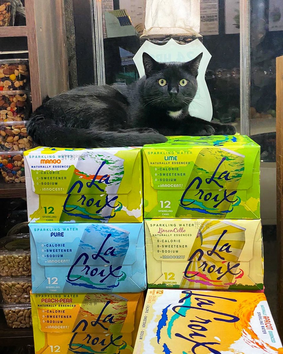 Bodega Cats tweet media