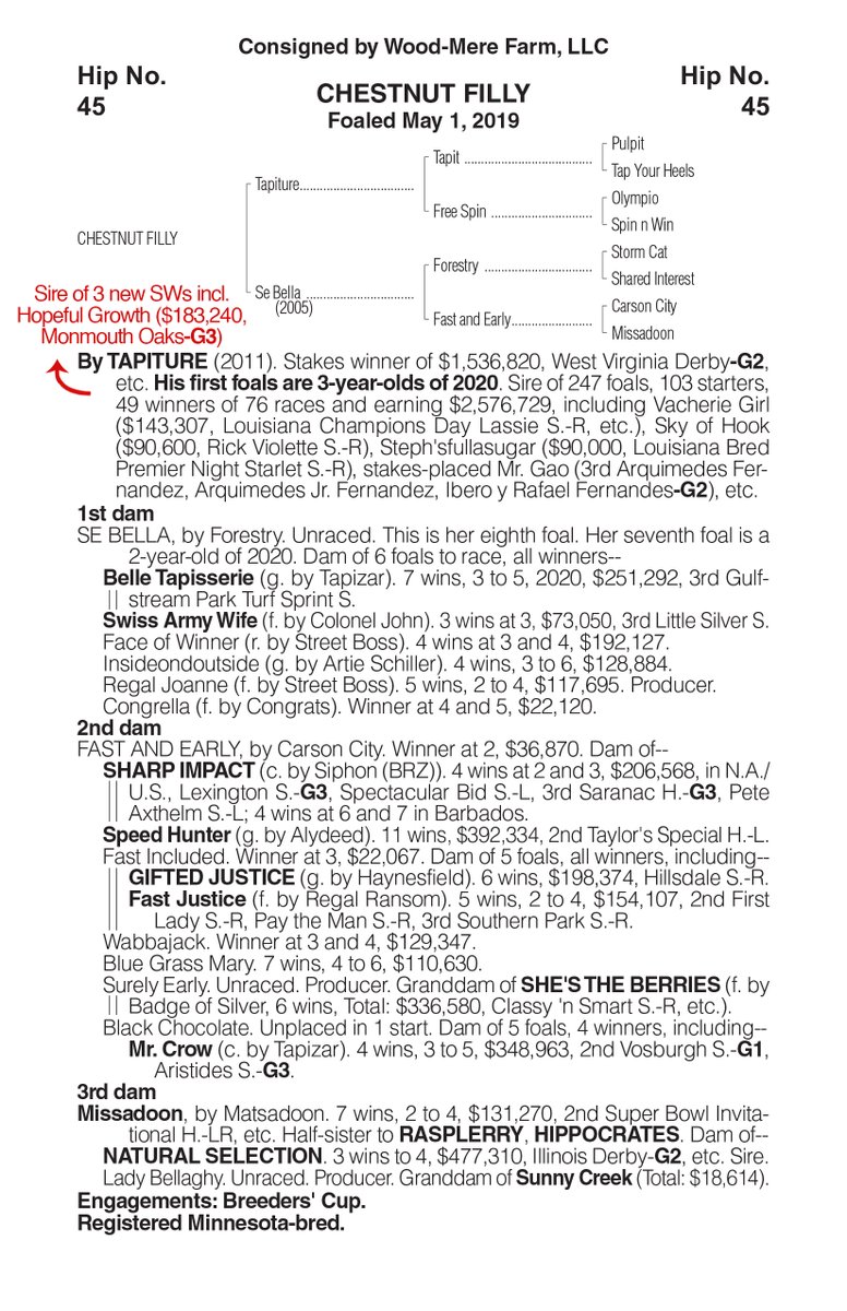 WoodMereFarm's tweet photo. Selling in the @Minnesotabred Yearling Sale on Sunday, August 30, 2020 @CanterburyPark:
#Hip28: Bay Gelding; Revolutionary - Magic Show, by Notebook
#Hip45: Chestnut Filly; Tapiture - Se Bella, by Forestry
For more information, please visit https://t.co/bUP3axCnO3 https://t.co/lpquhHDkO0