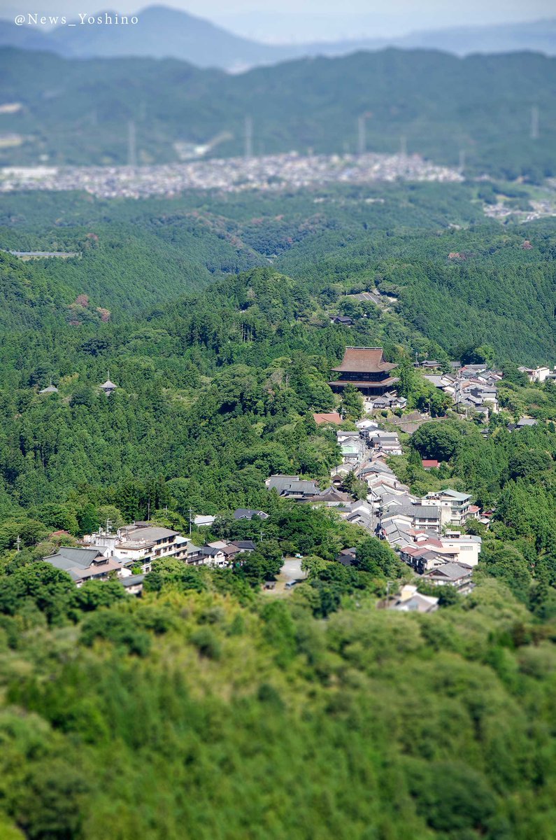 吉野山最新情報 今日は 山の日 写真は 吉野山 の展望スポット 花矢倉展望台 とその周辺の様子です ここまでは無料の 下千本駐車場 から徒歩約１時間ですのでハイキングにもおすすめ 祝日 連休最終日 イマソラ 奈良 登山
