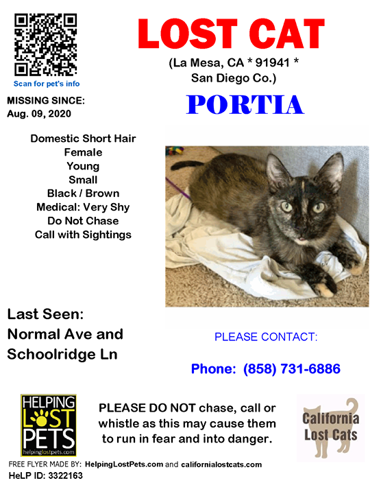 CALostCats's tweet photo. #LOSTCAT #Portia #LaMesa (Normal Ave &amp; Schoolridge Ln)  #CA 91941 #SanDiego Co. , #Lost #Cat 08-09-2020!, Female #Domestic Short Hair Black / Brown/Very timid, brown line on her head

More Info, Photos and to Contact: https://t.co/iagi6wRzvS

To see this pet’s location on the H… https://t.co/l1f99NMLwt