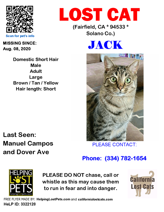 CALostCats's tweet photo. #LOSTCAT #Jack #Fairfield (Manuel Campos &amp; Dover Ave)  #CA 94533 #Solano Co. , #Lost #Cat 08-08-2020!, Male #Domestic Short Hair Brown / Tan / Yellow/Large green eyes 

More Info, Photos and to Contact: https://t.co/8AfVEpSjBM

To see this pet’s location on the HelpingLostPets … https://t.co/SSX2Qvjdzo