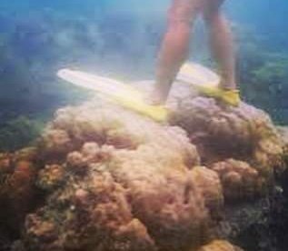 تجنب ملامسة الشعاب المرجانية

 الفضول ولمس الأشياء، يحتاج الغواصون وغيرهم أن يضعوا في اعتبارهم أن هن...