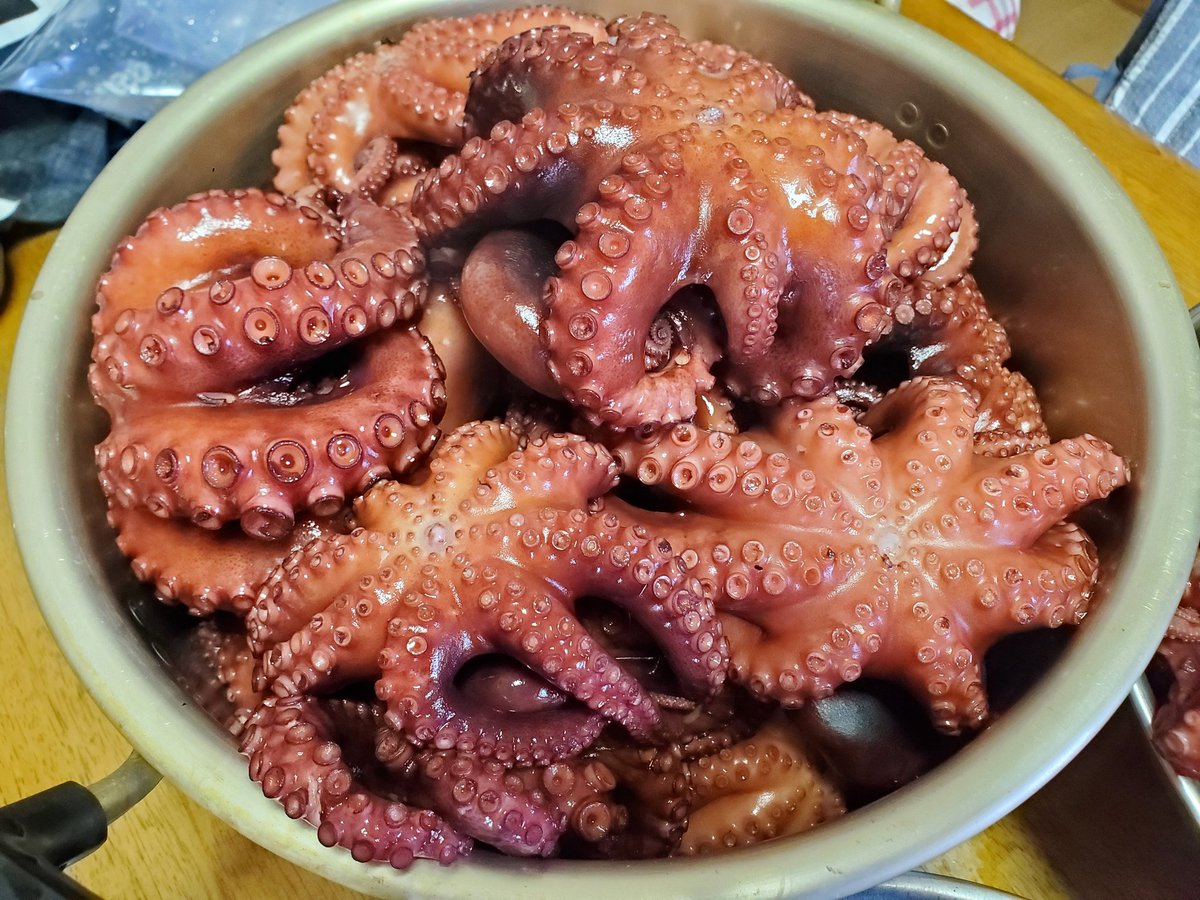 茹でダコ 茹でダコ