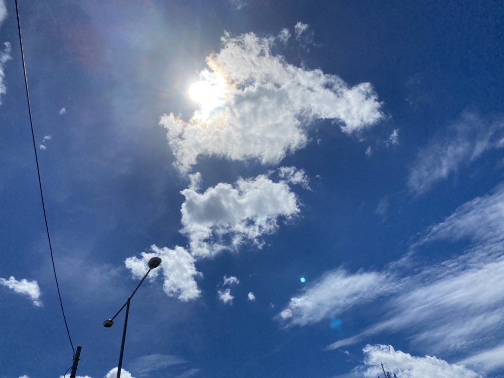 イマソラ
加工なしでこの色は素晴らしい👏💕
今日の空は絵本に出てきそうな空な気がした☺️
(眩しすぎて撮る瞬間画面見んと撮ったんは内緒🤫🤫🤫)