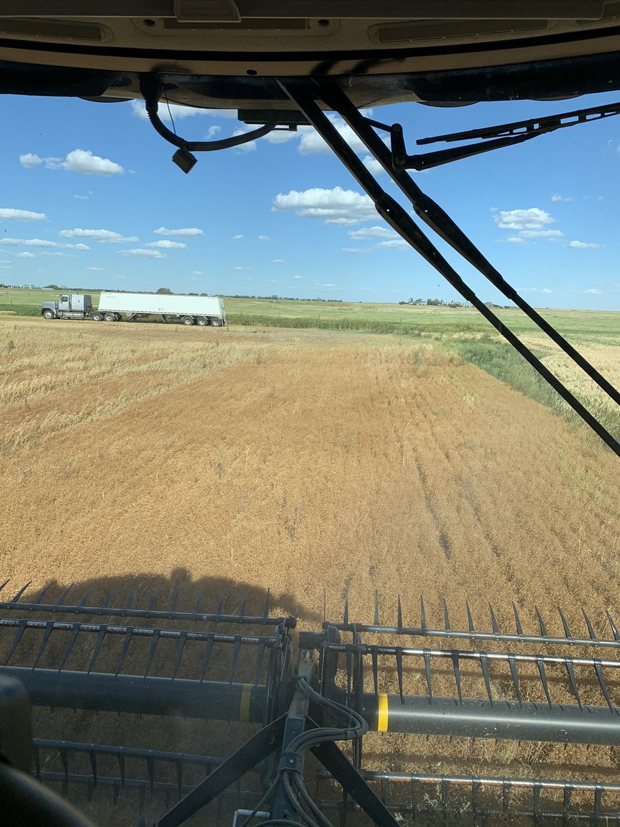 GO time. #harvest2020