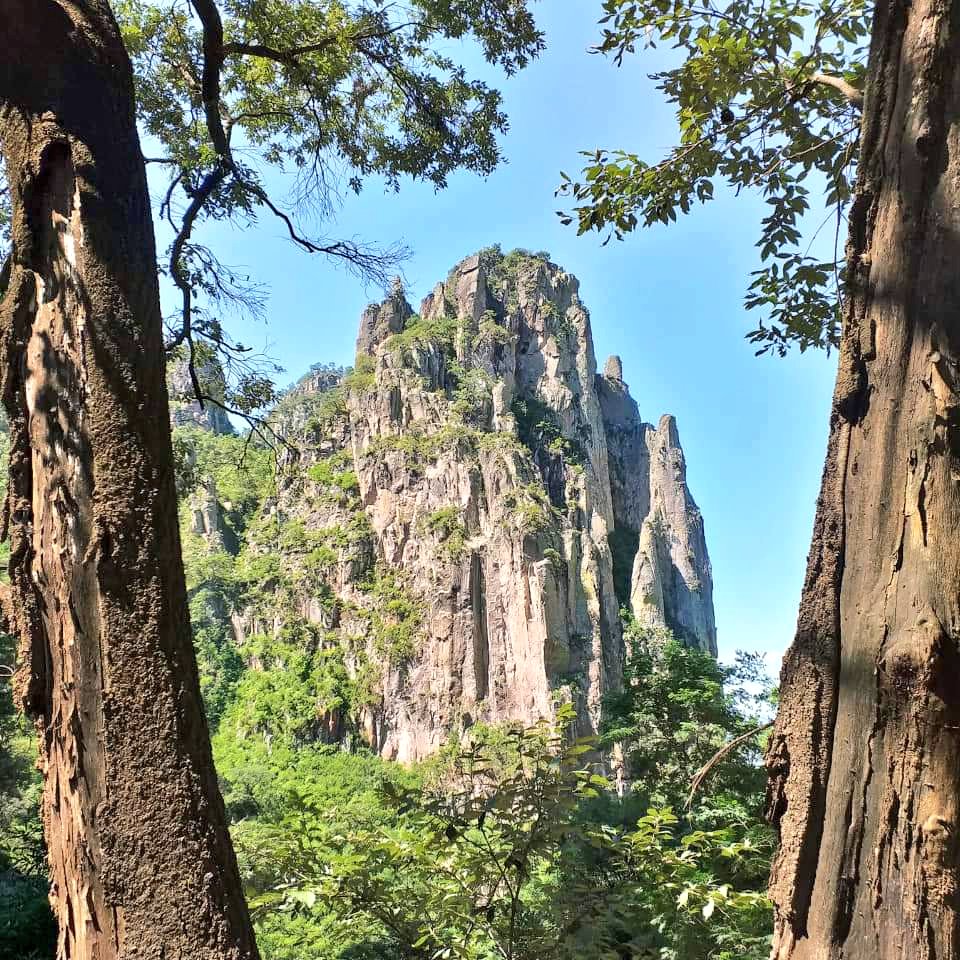 ClimaChihuahua1's tweet photo. Cascada de #Kokoyome en el municipio de #Guachochi en el Estado de #Chihuahua. 
Fotos Cortesía de #DeltaSt. https://t.co/dTmp4k4r28