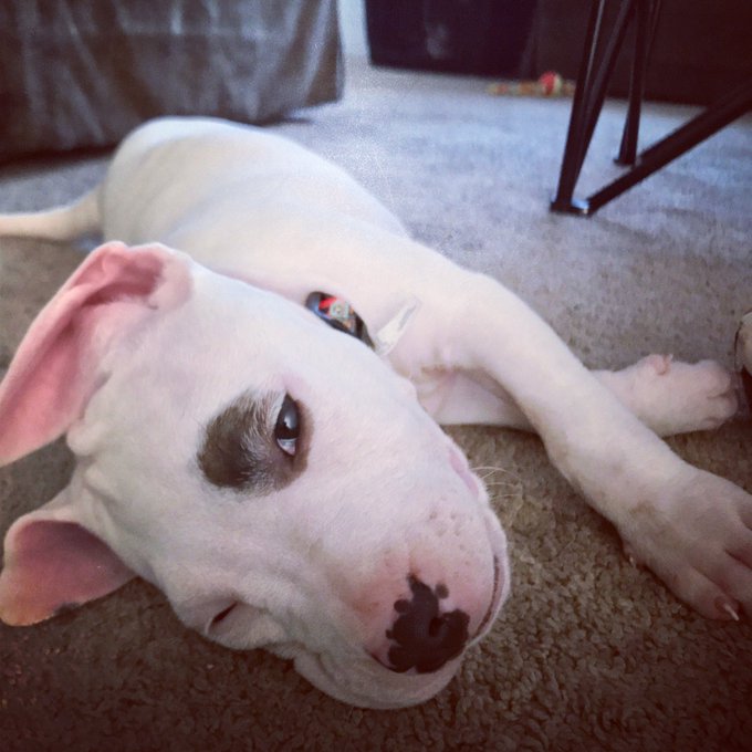 Dozing off.. https://t.co/PyooV7elWV<a href="/tag/ps5share"class="tags"><span>#ps5share</span></a><a href="/tag/nba2k22"class="tags"><span>#nba2k22</span></a>