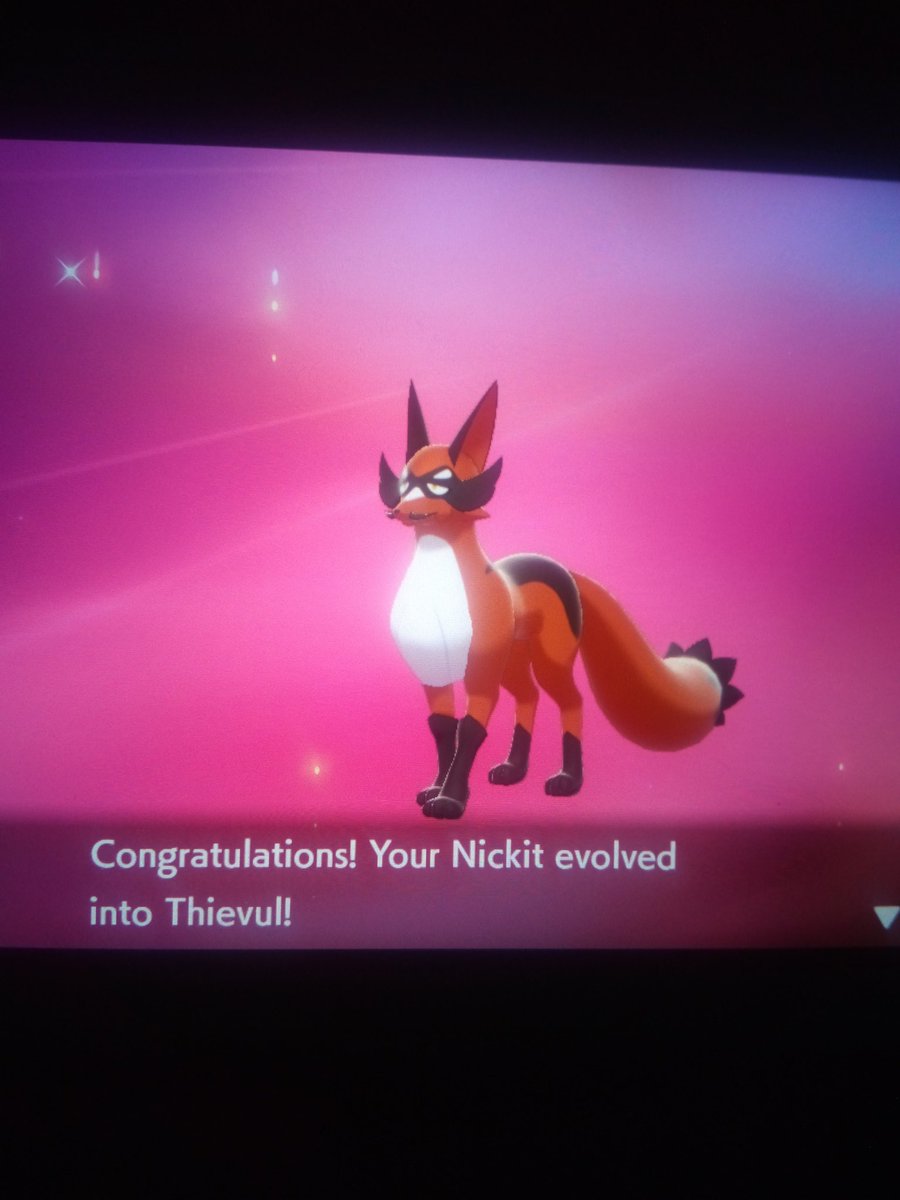 My Nickit evolved into Thievul this afternoon and he is looking quite handsome 