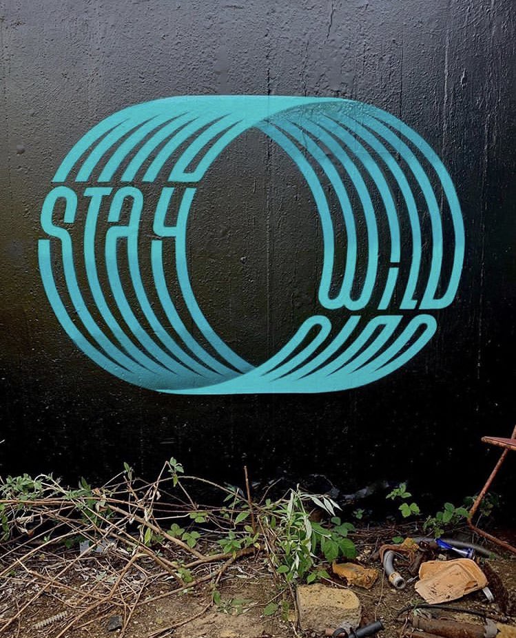 misteresee's tweet image. 🔥🔥🔥☝🏽☝🏽☝🏽@Ironlak #GaryStranger #StayWild