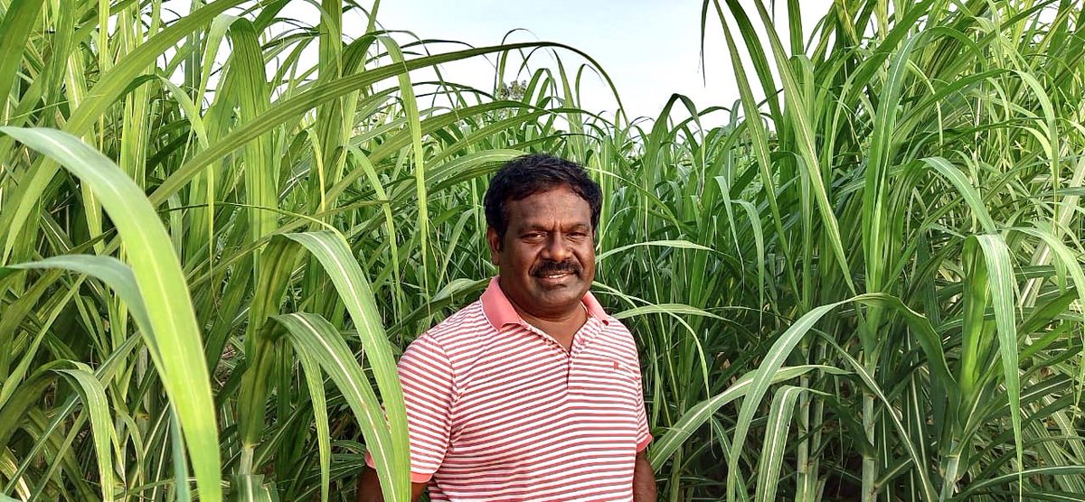 PMKAdvocateBalu's tweet image. இளமைக்கால மலரும் நினைவுகளுடன் எங்கள் ஊரின் பல பகுதிகளில் நடைபயிற்சி செல்வது அளவிலா ஆனந்தத்தைத் தருகிறது.... இராமதேவநல்லூர், நெடேரி,வாழகுட்டை ஏரி, காட்டகரம், மணல்மேடு, மேட்டுத்தெரு, சொக்கலிங்கபுரம், வெண்ணங்குழி, ஒடப்பேரி, சத்திரம் என தொடர்கிறது எனது நடைப்பயிற்சி