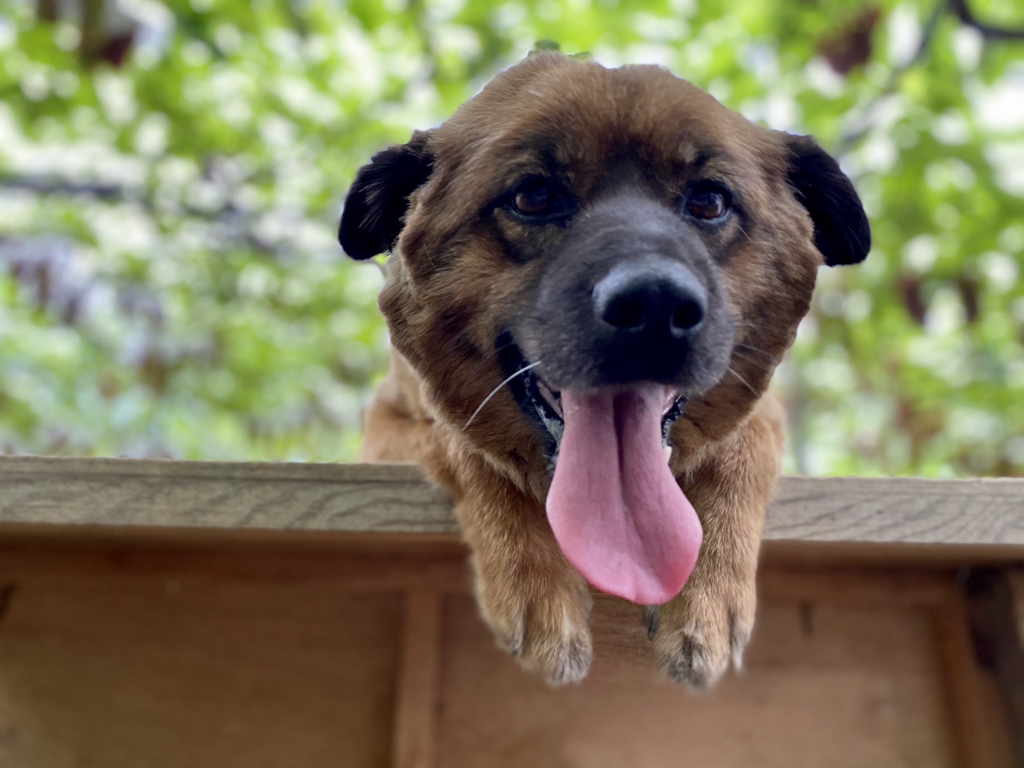 山本フルーツランド Taishi Fruits Twitter