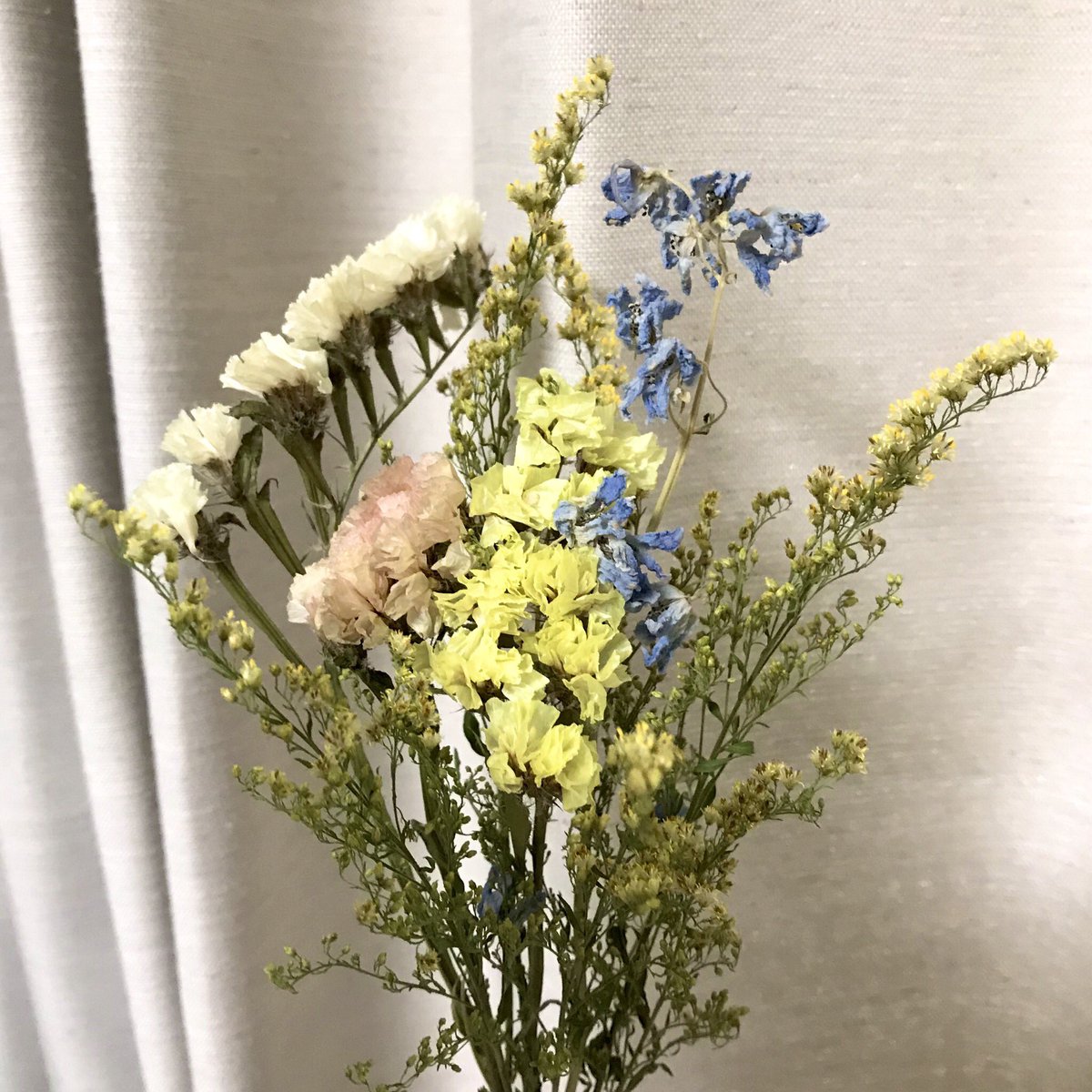 Chappy 花纏 はなまとい ソリダコのドライフラワーが綺麗に出来たので 小さなスワッグを作ってみました とりあえず束ねただけですが リボンとか巻いたら可愛くなるかな ドライフラワー T Co Dxabdv0c Twitter Chappy 花纏 はなまとい ソリダコのドライフラワーが綺麗に出来たので 小さなスワッグを作ってみました とりあえず束ねただけですが リボンとか巻いたら可愛くなるかな ドライフラワー T Co Dxabdv0c Twitter