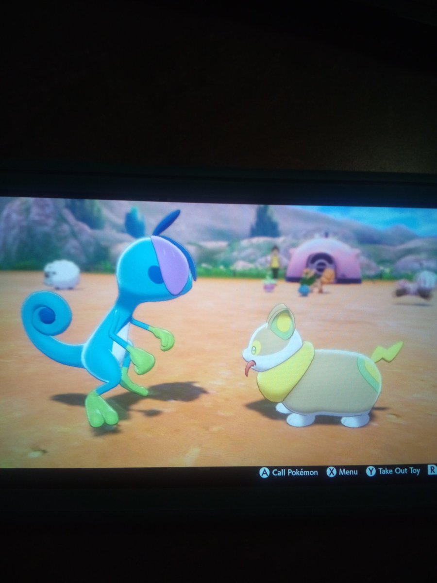 I thought this was super adorable but my Drizzile was playing with Becca's Yamper named Corzee 