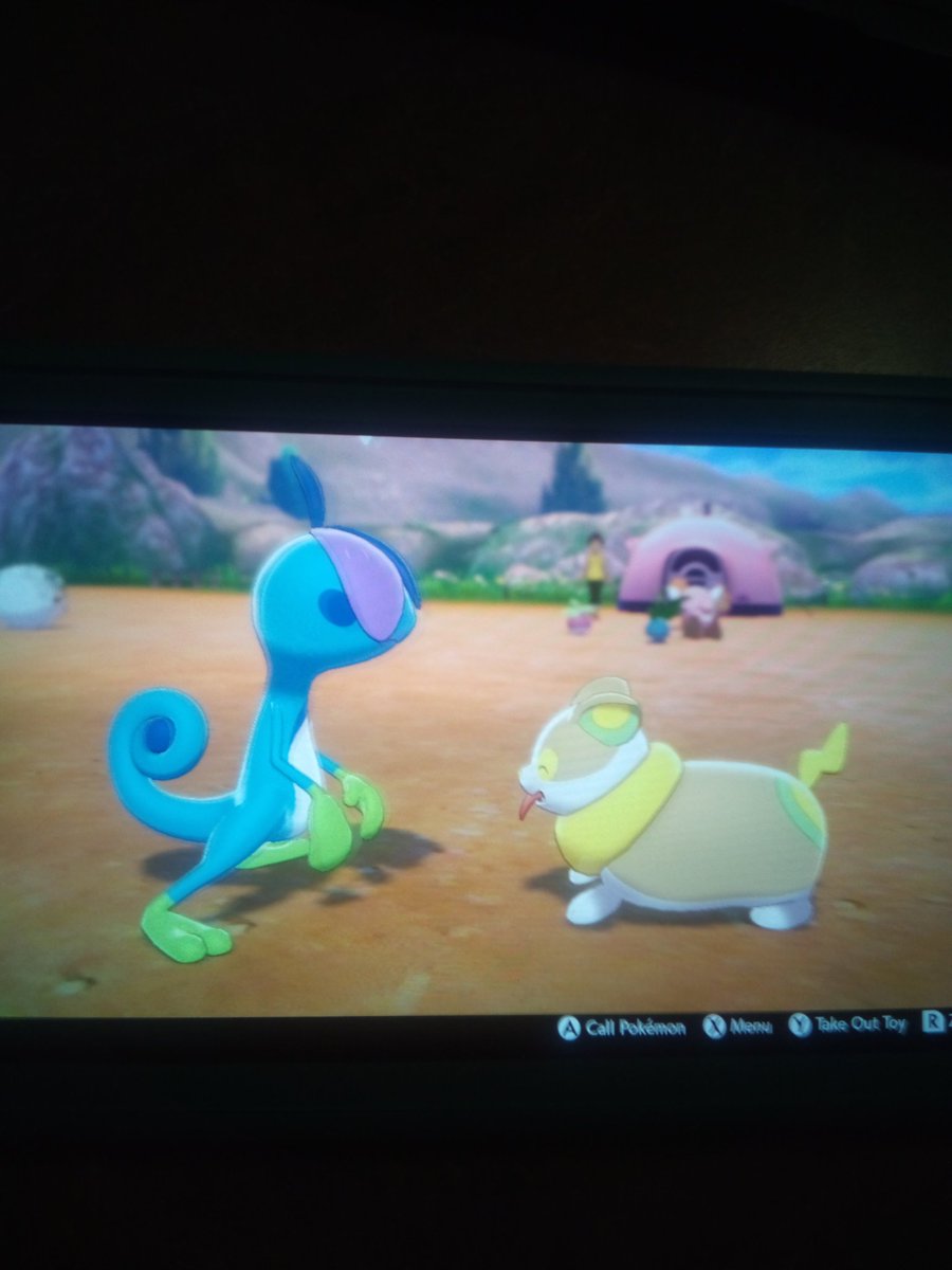 I thought this was super adorable but my Drizzile was playing with Becca's Yamper named Corzee 