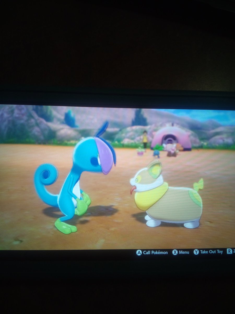 I thought this was super adorable but my Drizzile was playing with Becca's Yamper named Corzee 