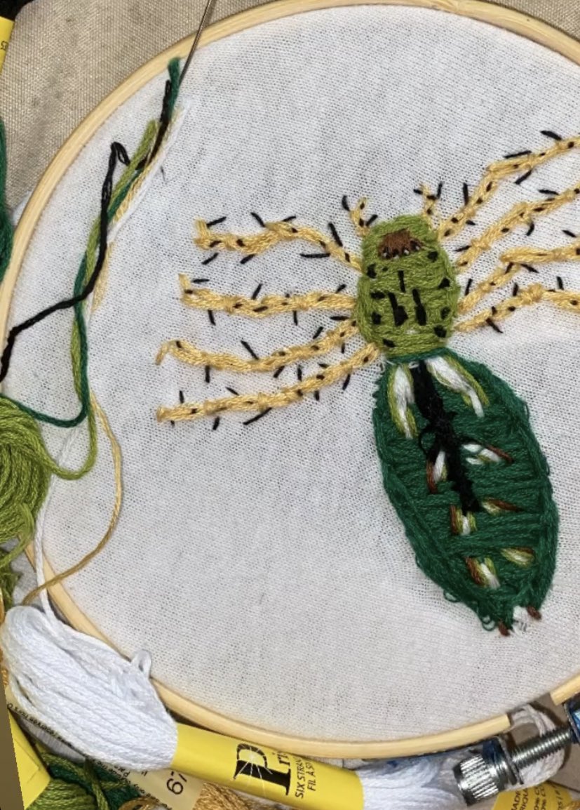 zulayumich's tweet image. A tad bit late to #LatinSaturday 
1. Behavioral ecology/evolution
2. Cuba! 🇨🇺
3. During this pandemic I took to embroidering and have been (trying my hardest at) embroidering some of the organisms I’ve worked with!
4. Once I meet more #latinxinstem I will tag them!