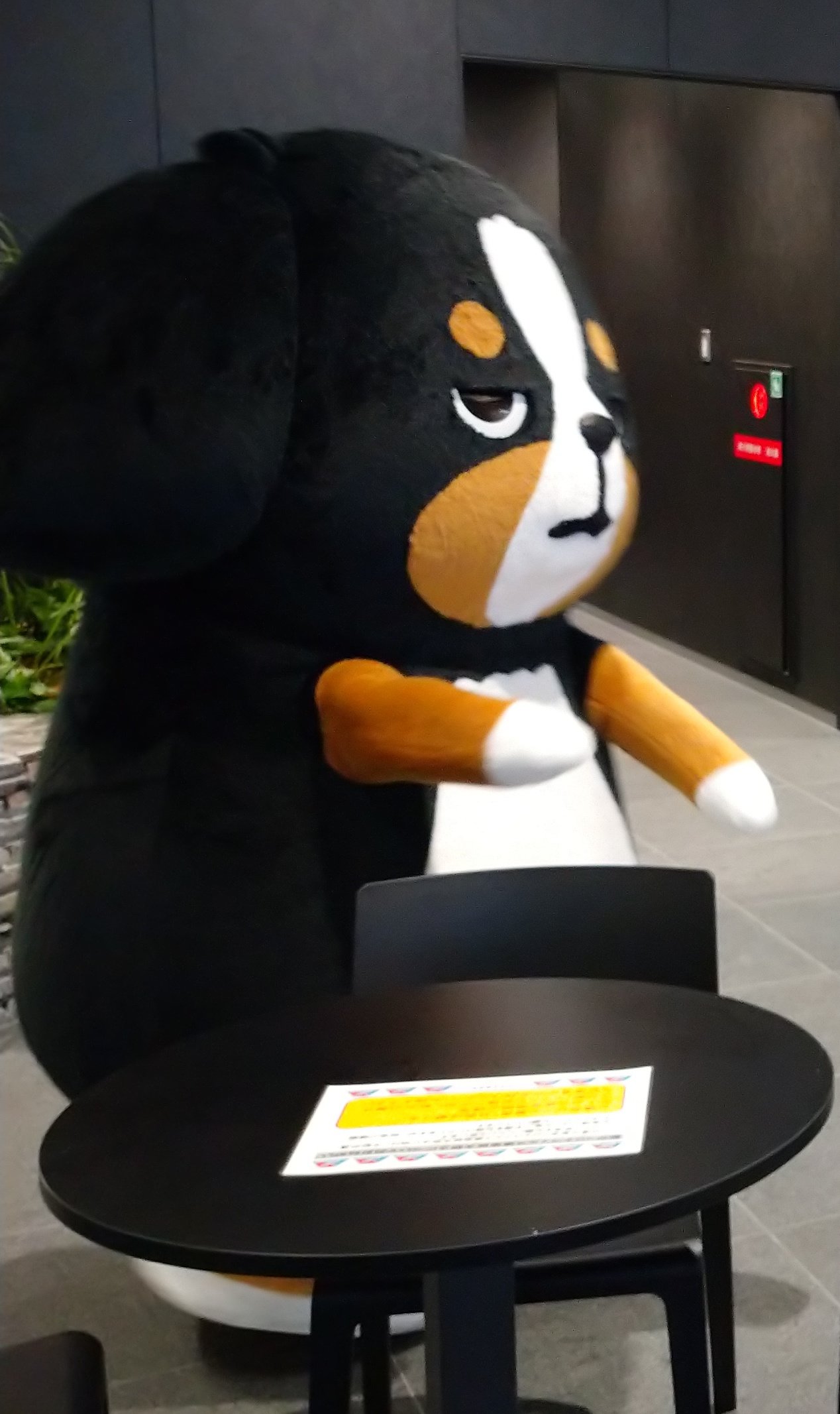 カツミ 鹿児島銀行のキャラクター しろどんとくろどん しろどんはともかく くろどんはエスカレーターに乗れるのか 乗れた 鹿児島銀行 Payどん T Co 6lnsmyc56o Twitter