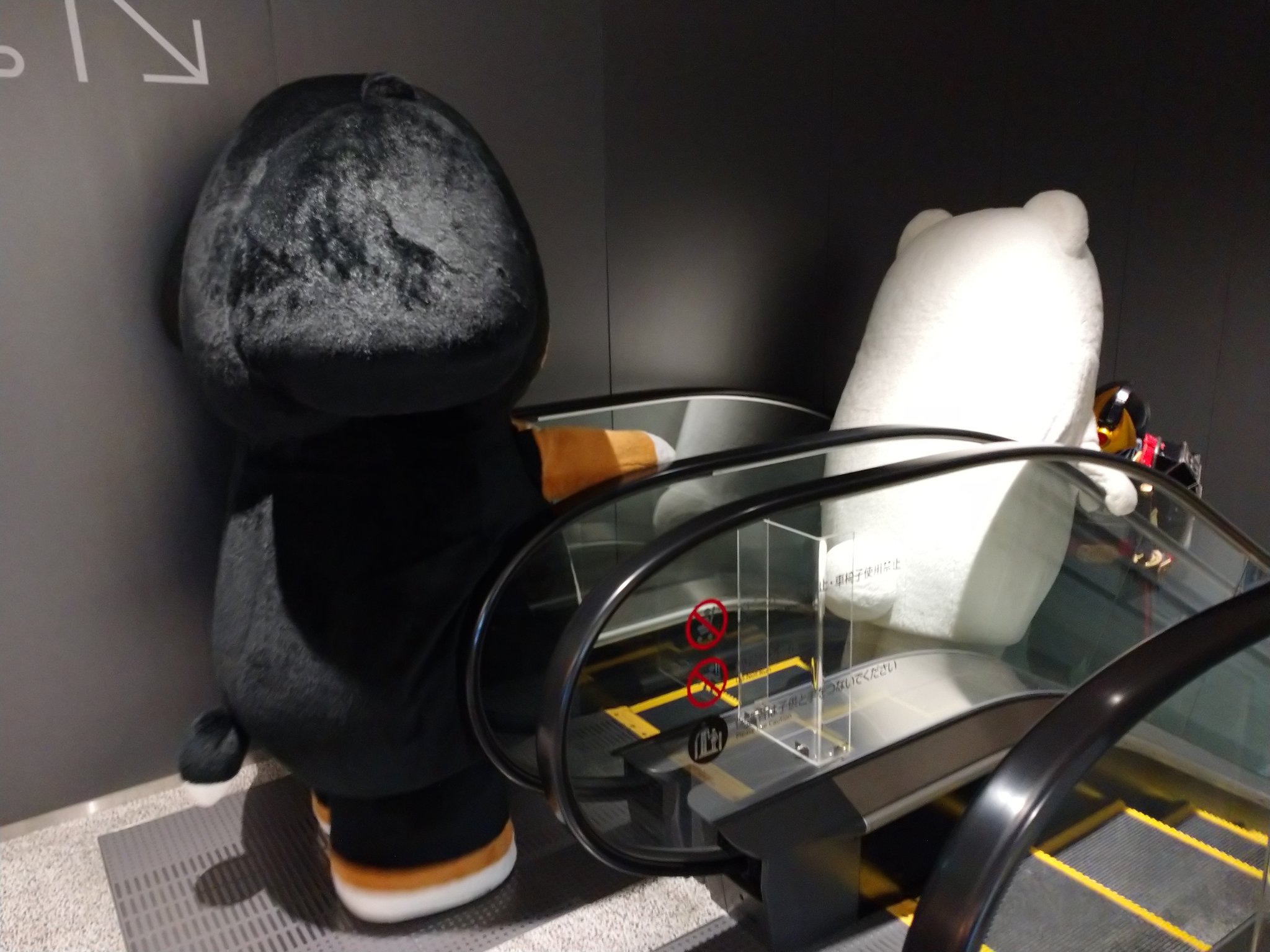 カツミ 鹿児島銀行のキャラクター しろどんとくろどん しろどんはともかく くろどんはエスカレーターに乗れるのか 乗れた 鹿児島銀行 Payどん T Co 6lnsmyc56o Twitter