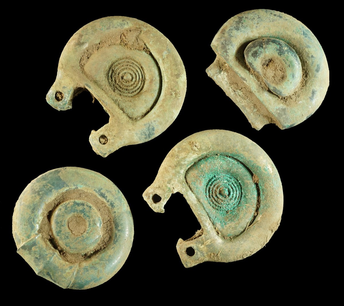 We're delighted to announce the discovery of a significant Bronze Age hoard in the Scottish Borders. #Responsibledetecting allowed for assessment of the hoard in situ but there is plenty of exciting work still to be done.