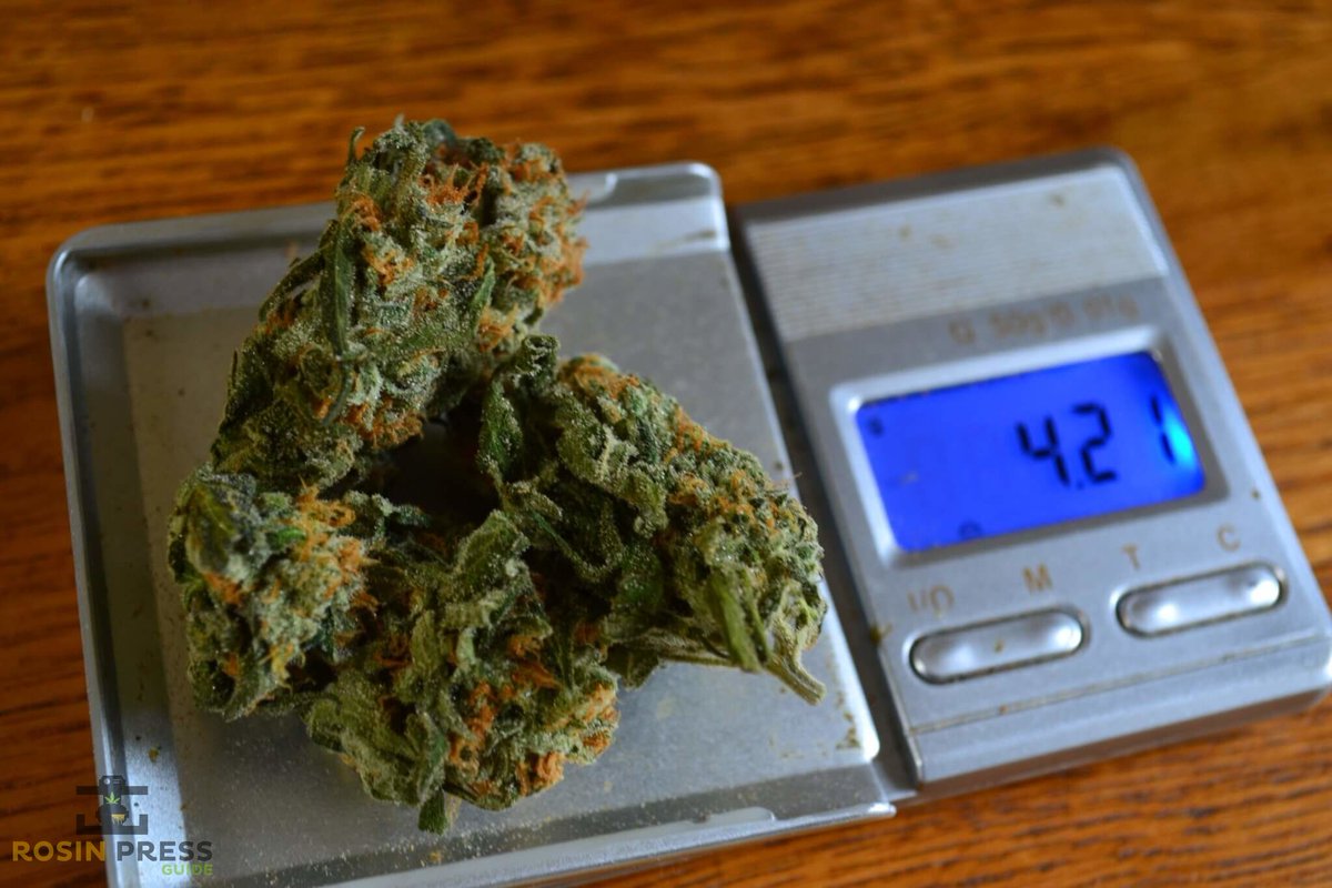 GuideRosin's tweet image. Learn how to re-hydrate your weed for maximum results pressing rosin. Increase your rosin yield by 3% following these pro tips with lettuce leaves in a jar bit.ly/2PDRWoX