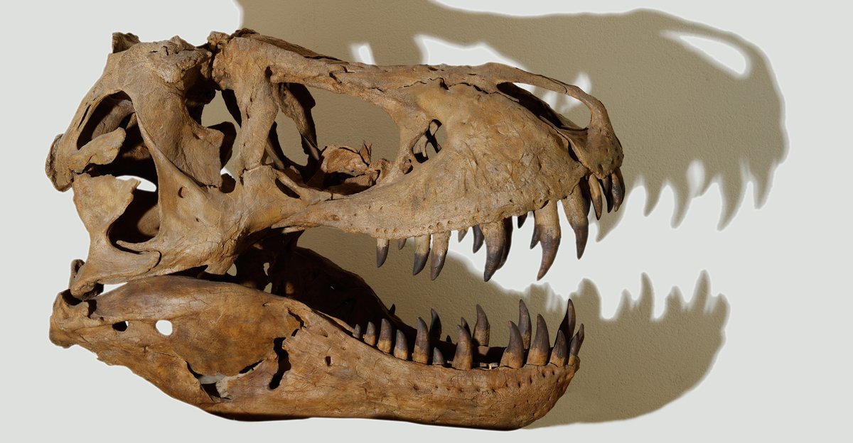 FondationCalvet's tweet photo. La Fondation Calvet vous propose de découvrir la représentation des animaux fantastiques à travers ses œuvres exposées dans les Musées d’Avignon : https://t.co/EgNrh24rnt https://t.co/i71iv6E7n8