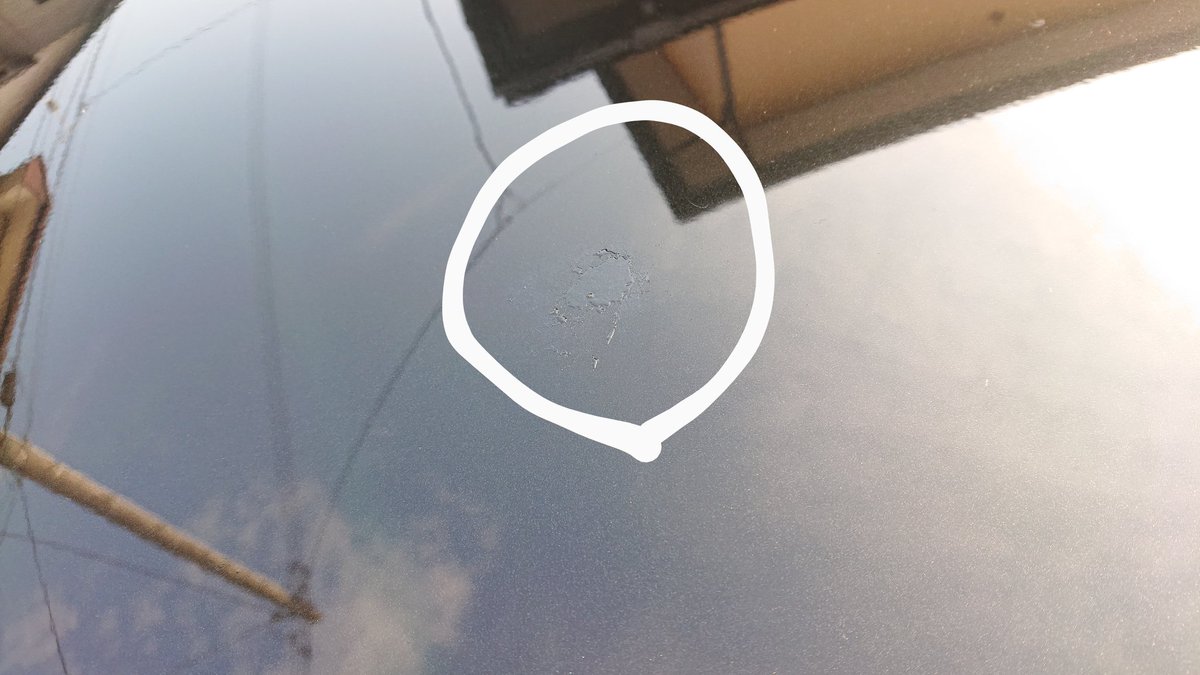 Haru８６３ Haru 863 Twitter