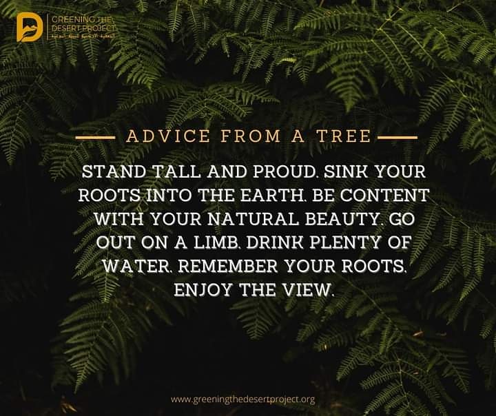 greeningdesert2's tweet photo. Advice from a TREE 🌲🌳🌴

#Greening_the_desert 🏜️➡️🏞️
#permaculture #Jordan_valley #Geoff_lawton https://t.co/RWeXYQZ9qu