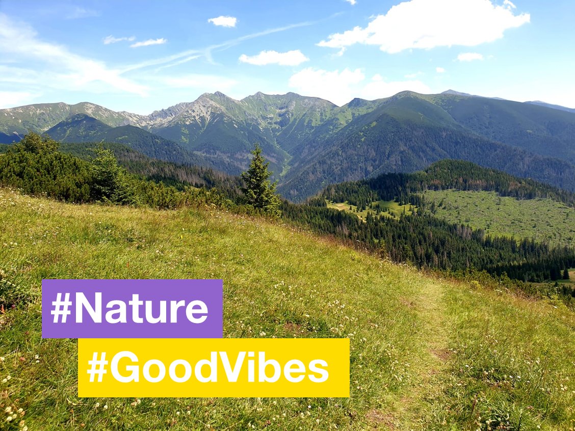 Our #MSCMauritius took over our #CSOGoodVibes activity this last two weeks, inviting us to share our #SummerMustHaves
Mine  are open spaces, fresh air and hikes in the mountains #LowTatras #Slovakia 🏔️
What’s yours?