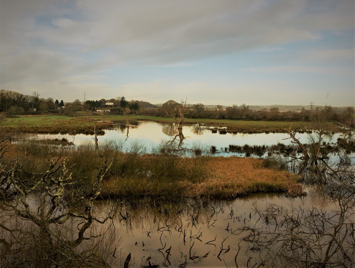 Making the Most of Green Space for People’s Health is new guidance for Local Authorities and other stakeholders on the ways in which green space benefits health, and can be improved, expanded and promoted to maximise benefits for people and place.
beyondgreenspace.net/making-the-mos…