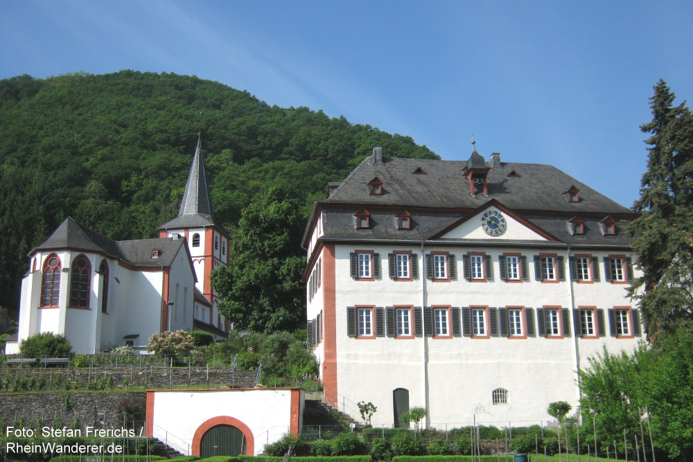 RheinWanderer's tweet photo. #Wandern am #Mittelrhein: Diese herrliche #Wanderung (13 km) auf dem #Rheinburgenweg führt von #SanktGoar über #Hartenberg + #Wilpertskopf nach #Hirzenach. Mein #Tipp: Dort die Propstei (Foto) besichtigen! Mehr Fotos + Infos hier: https://t.co/x1vWlqs9EP #Rhein #RLPerleben https://t.co/8mYWqSU9L0