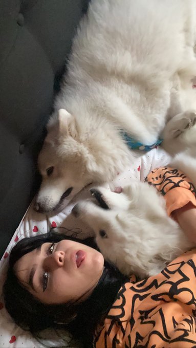 Foto de la tarde pero que sirve tambi&eacute;n para decir... A mimir 😴 https://t.co/7jxj8LCvAi<a href="/tag/vctlatam"class="tags"><span>#vctlatam</span></a>