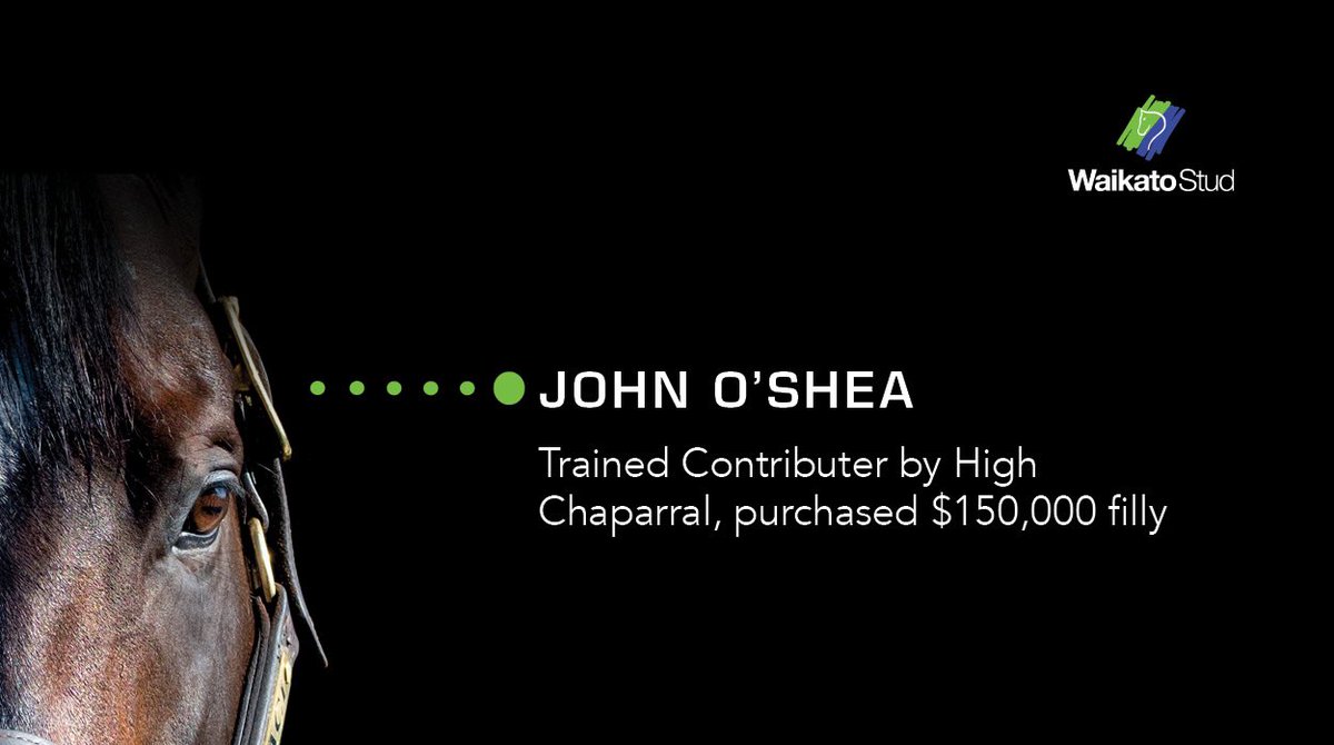 Waikato Stud tweet media