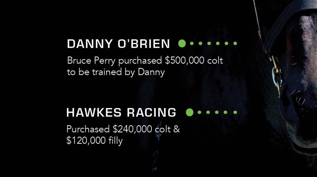 Waikato Stud tweet media