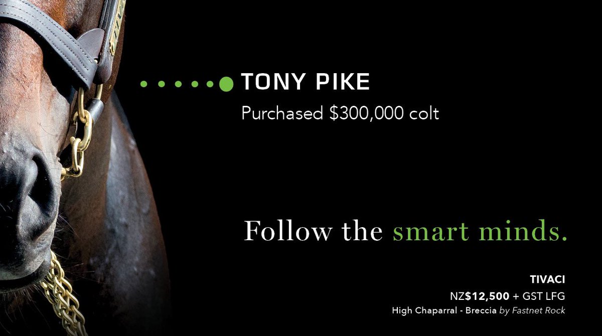 Waikato Stud tweet media