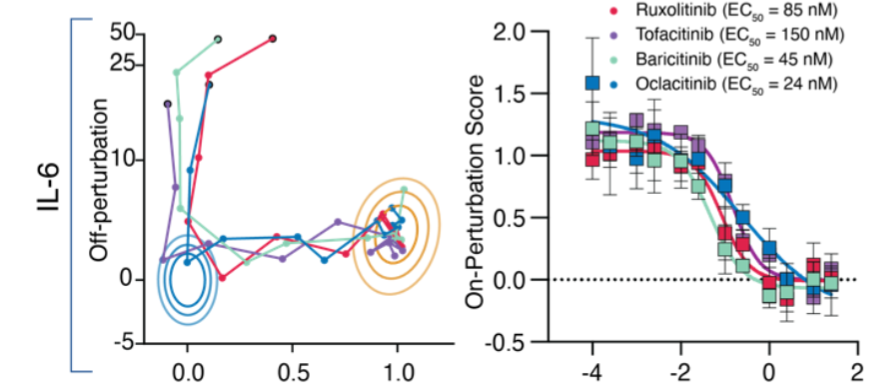 Our IL-6 ground truth assay is a great example of THE OVERSHOOT.JAK inhibitors rescue the IL-6 phenotype perfectly (look at those on-perturbation - "x" - plots at right). But keep adding higher doses of JAKi's and you'll get off-pertubation effects. You tried a bit too hard.