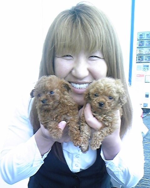 Joshipuroresu Twitter 搜尋 Twitter