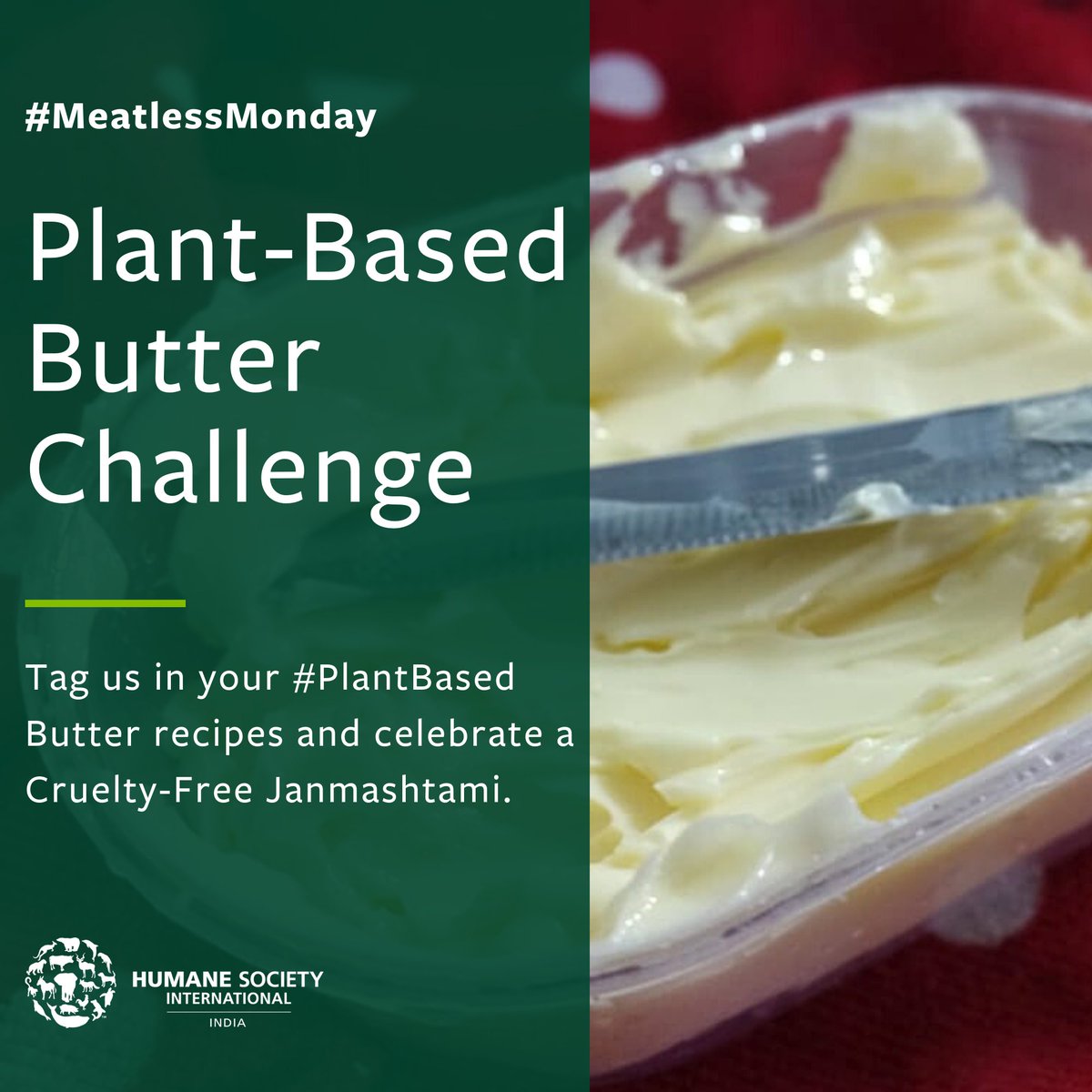 humaneworldind's tweet photo. #Janmashtami is 1 day away! This #MeatlessMonday, take the #PlantBasedButterChallenge and tag us in your recipes for a chance to be featured! Let’s celebrate a Cruelty-Free Janmashtami.
#PlantBasedButter https://t.co/SJZAuk8V7h