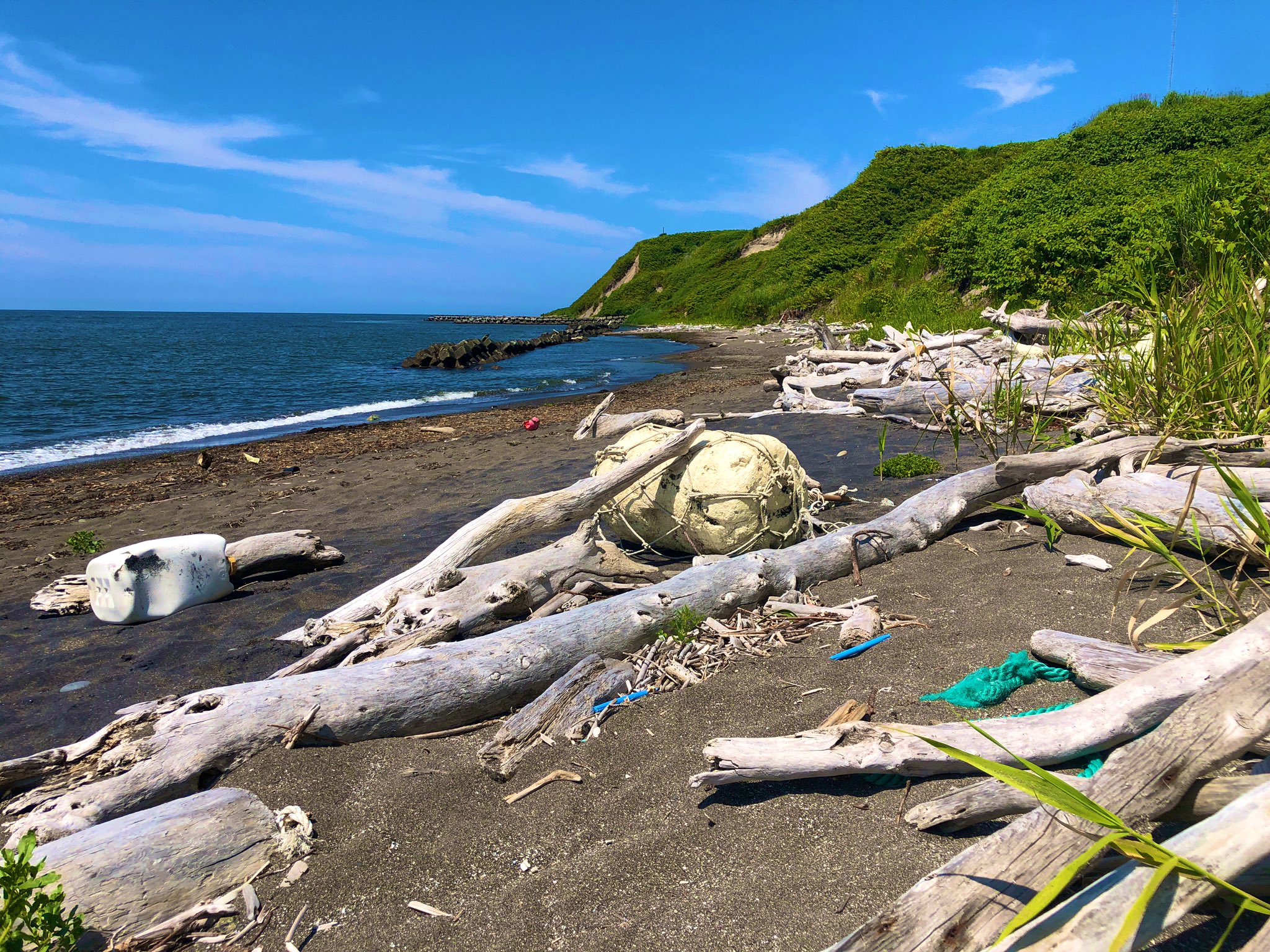 Zuemo 海の成れ果てが集まる場所 流木の迫力が凄い 海水浴には微妙だけど 遺物探しには良いところ 子供と山盛りシーグラス回収したよ 大物流木もすごいので 高く売れるんじゃないかと卑しい心も芽生える 北海道ツーリング 北海道