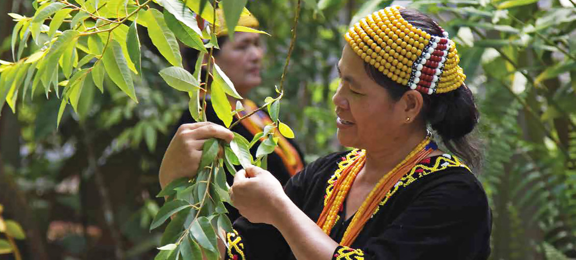 WalkIndigenous's tweet photo. On InternationalDay of the World's #IndigenousPeople, 9th of Aug: #UN chief spotlights indigenous peoples’ resilience in face of #COVID19 #pandemic

https://t.co/3jWl02MEFF https://t.co/hcL6BcW1uO