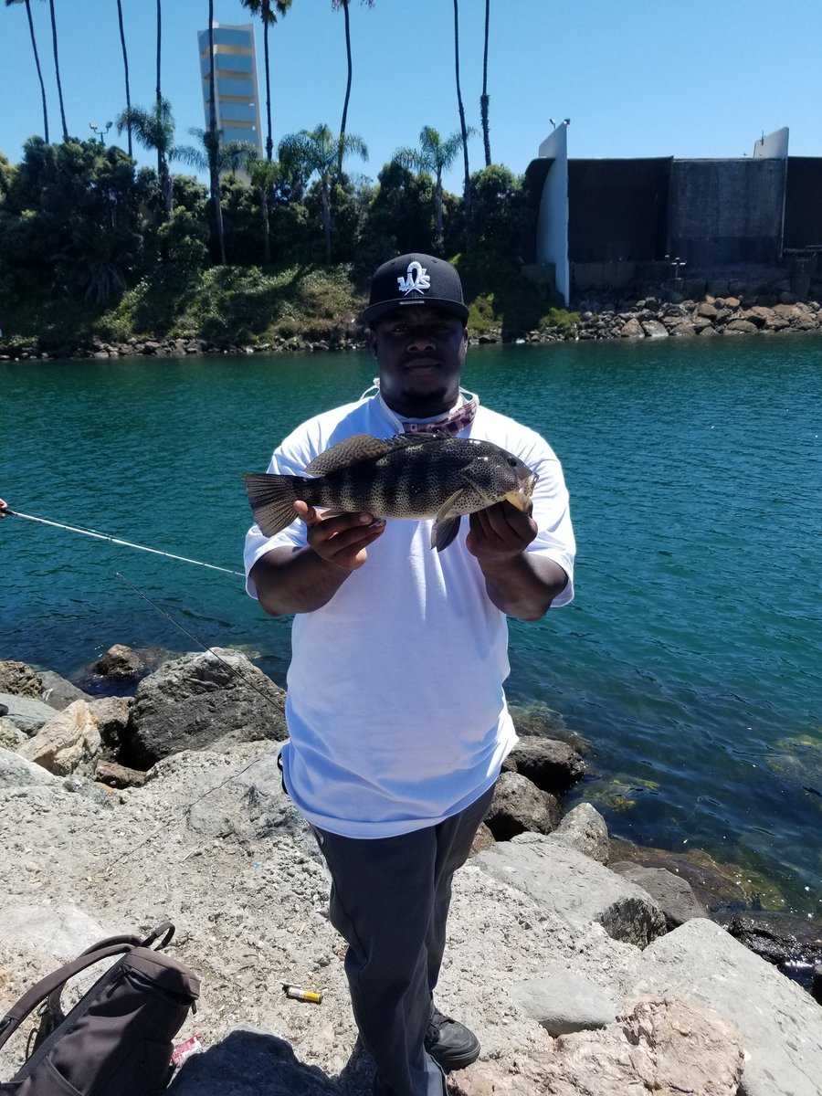 P catch'em lester (@pertisl) on Twitter photo 