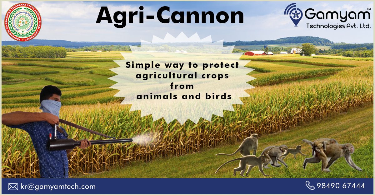 ABRConserv's tweet image. Simple way to protect agricultural crops from Monkeys and birds
Learn more: agrigamyamtech.com 
Contact us @+91-9849067444
 #protectcrops #monkeyscarerdevice #deerscarer #birdsscarer #animalrepellent #savecrops #agriculturalinnovation #birdscrerdevice #birdrepeller