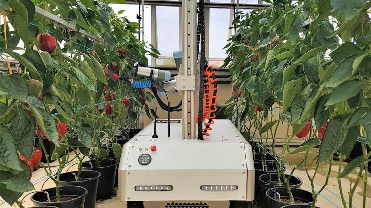 Michael Milford, FTSE π€πππ§ ππ£οΈ (@maththrills) on Twitter photo Deconstructing a lab favourite robot is always a sad affair: but more exciting research is coming from <a href="/ChrisLehnert/">Chris Lehnert</a> and the <a href="/QUTHarvey/">Harvey</a> team <a href="/QUTRobotics/">QUTRobotics</a> @QUTSciEng #robotics #agriculture #farming #manipulation #industry #automation Deconstructing a lab favourite robot is always a sad affair: but more exciting research is coming from <a href="/ChrisLehnert/">Chris Lehnert</a> and the <a href="/QUTHarvey/">Harvey</a> team <a href="/QUTRobotics/">QUTRobotics</a> @QUTSciEng #robotics #agriculture #farming #manipulation #industry #automation
