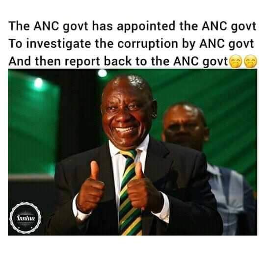 Kallie Kriel (@kalliekriel) on Twitter photo 