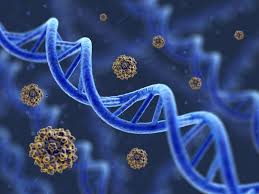 Rachel_walker08's tweet photo. #StayHome #StaySafe the #Webinar will be a platform to present your research and to show your innovations. Join our #onlineevent #Genetics2020 on #October12_13_2020
@9AM Visit us at: https://t.co/RjTcq4JZ42 #epigenetics
#cancergenetics
#Bioinformatics
#Genomics
#molecularbiology https://t.co/ujeiSAVgzI