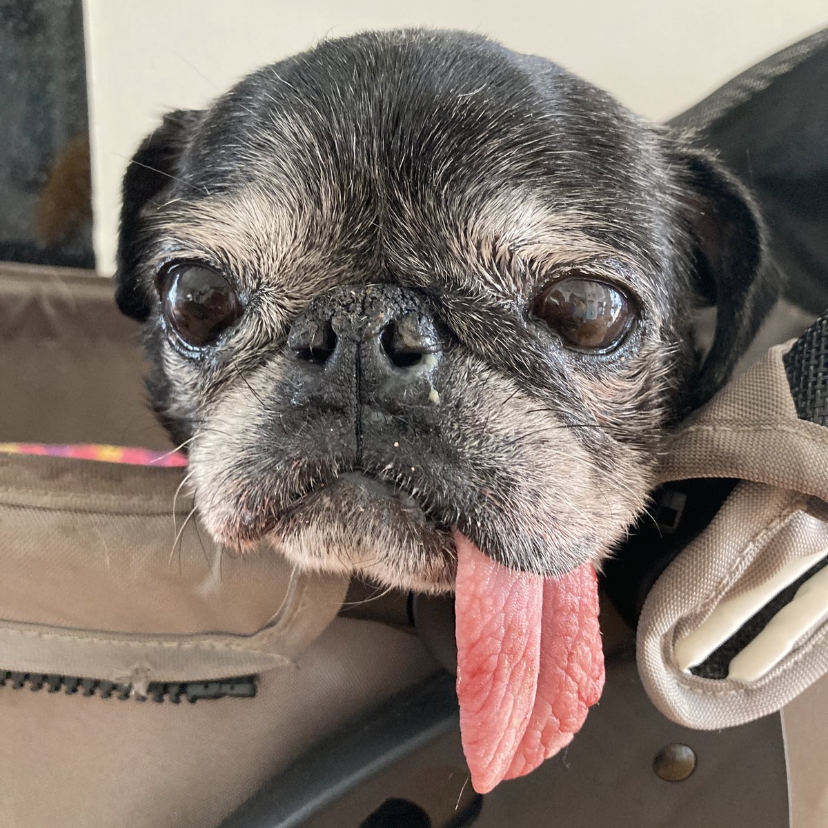 I’m 105 #justsayin