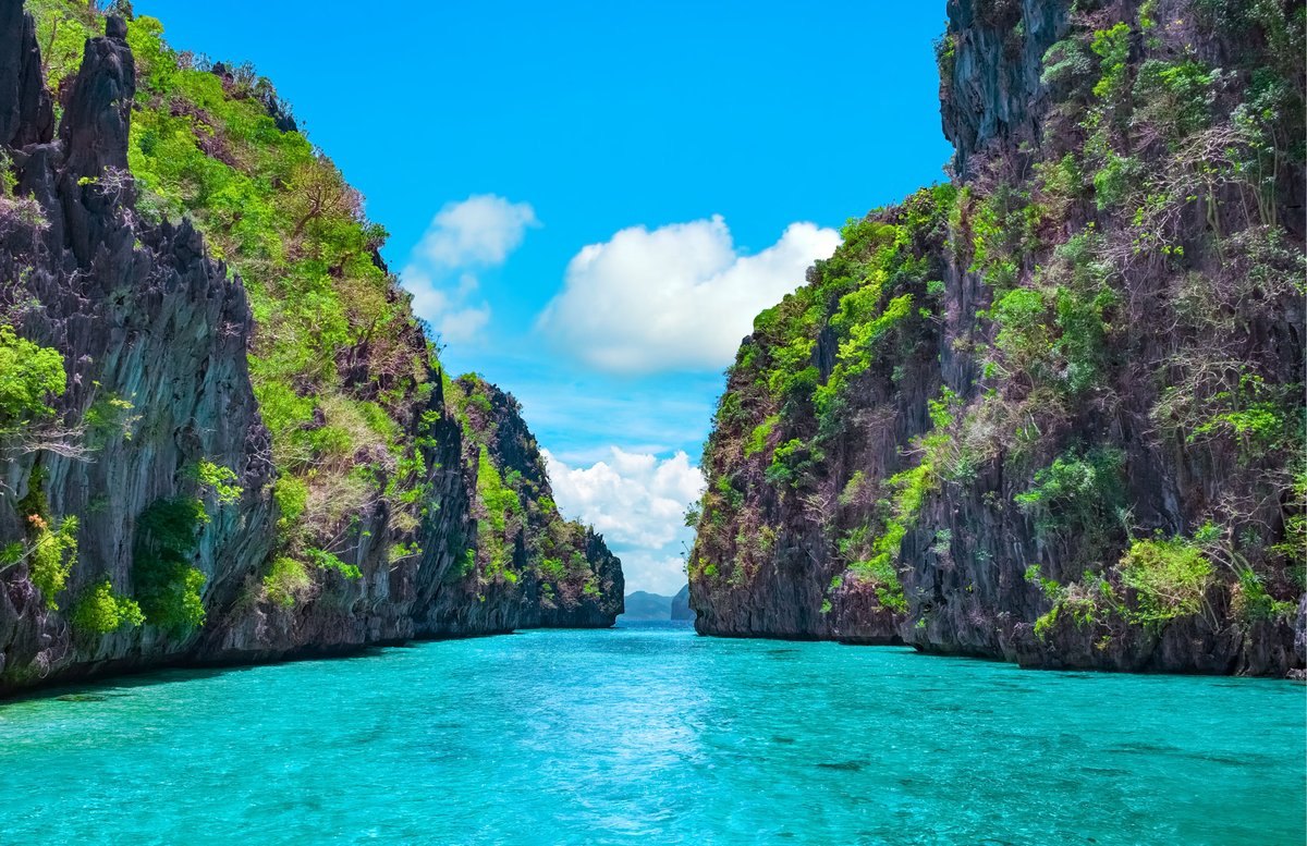 Tripoetic tweet media