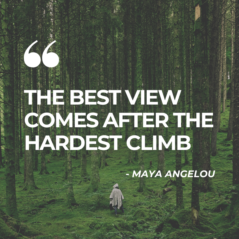 Aspiring Minds AMCAT tweet media